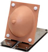 ����g���[�j���O���f��