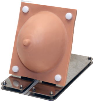 ����g���[�j���O���f��